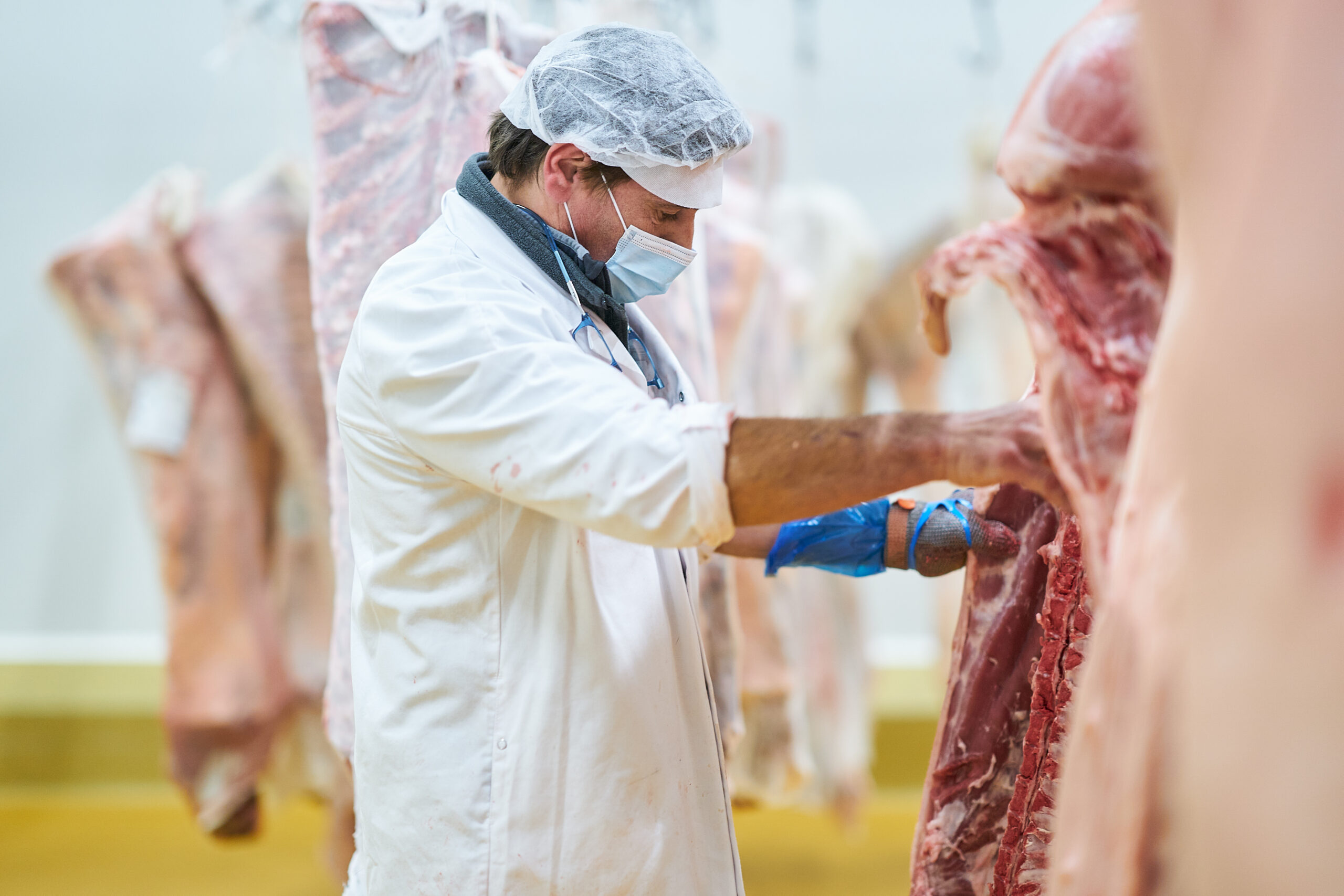 Thịt lợn Bỉ:Ưu thế chất lượng
